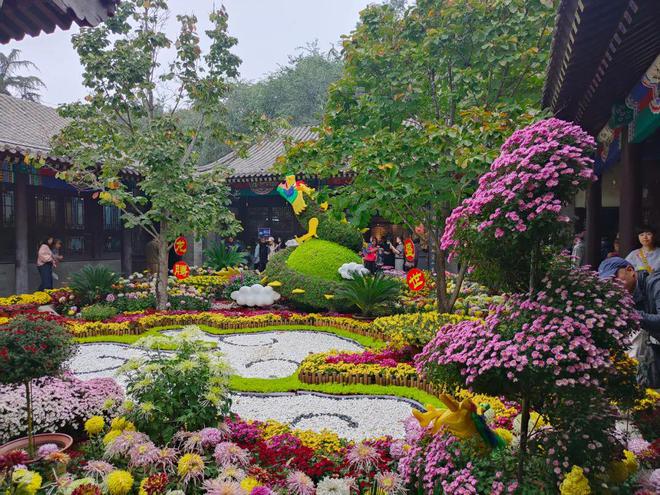 威廉希尔活动回放｜菊花香秋意浓——凤凰山菊展科普游园活动(图4)