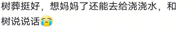 S家终将不能随心所欲风水师一句话解决所有小s声明正申请树葬(图9)