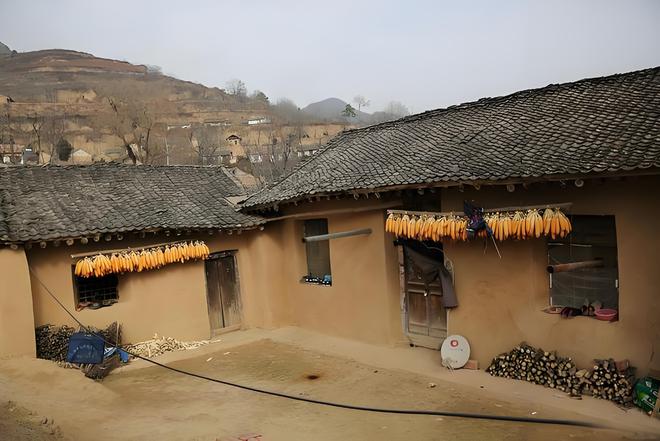 住宅风水：病气之源这些物品不能放(图4)