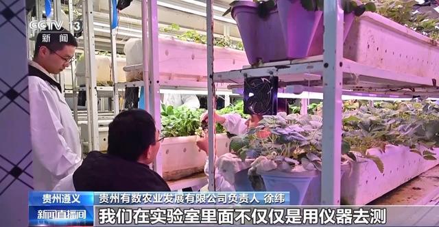 报效祖国建功西部丨娄山关下新农人“植物工厂”开创新赛道(图4)