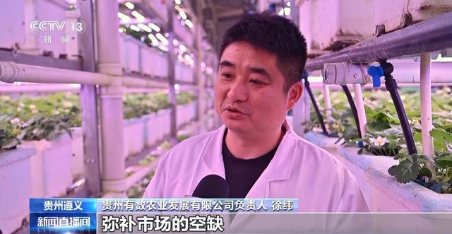 报效祖国建功西部丨娄山关下新农人“植物工厂”开创新赛道(图2)