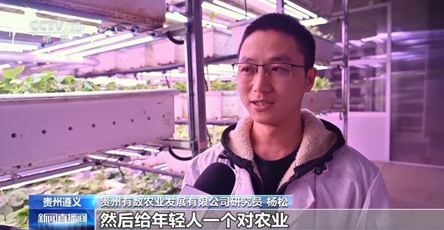 报效祖国建功西部丨娄山关下新农人“植物工厂”开创新赛道(图8)