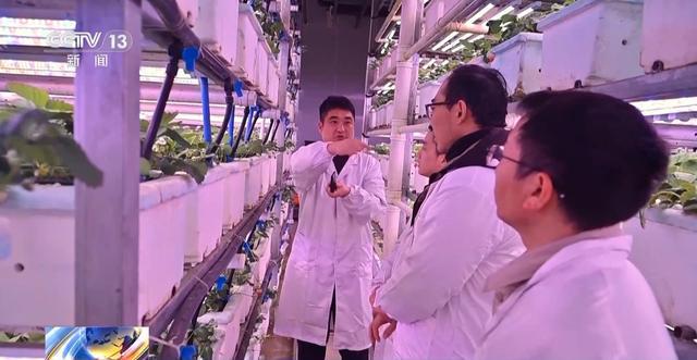 报效祖国建功西部丨娄山关下新农人“植物工厂”开创新赛道(图5)