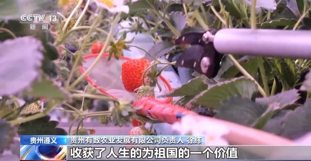 报效祖国建功西部丨娄山关下新农人“植物工厂”开创新赛道(图9)
