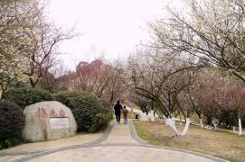 科普不打烊科学过新年①春节将至花样科普活动等你打卡(图14)