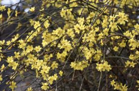 科普不打烊科学过新年①春节将至花样科普活动等你打卡(图16)