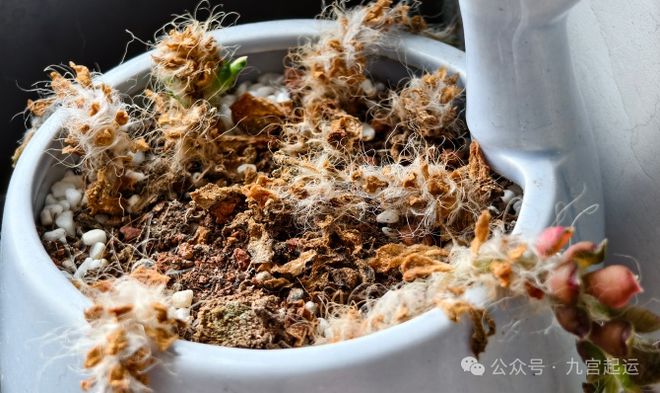 家里总破财？紧急排查这5处风水！小心财神见了都绕道(图7)