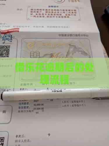 借乐花逾期后的处理流程(图2)