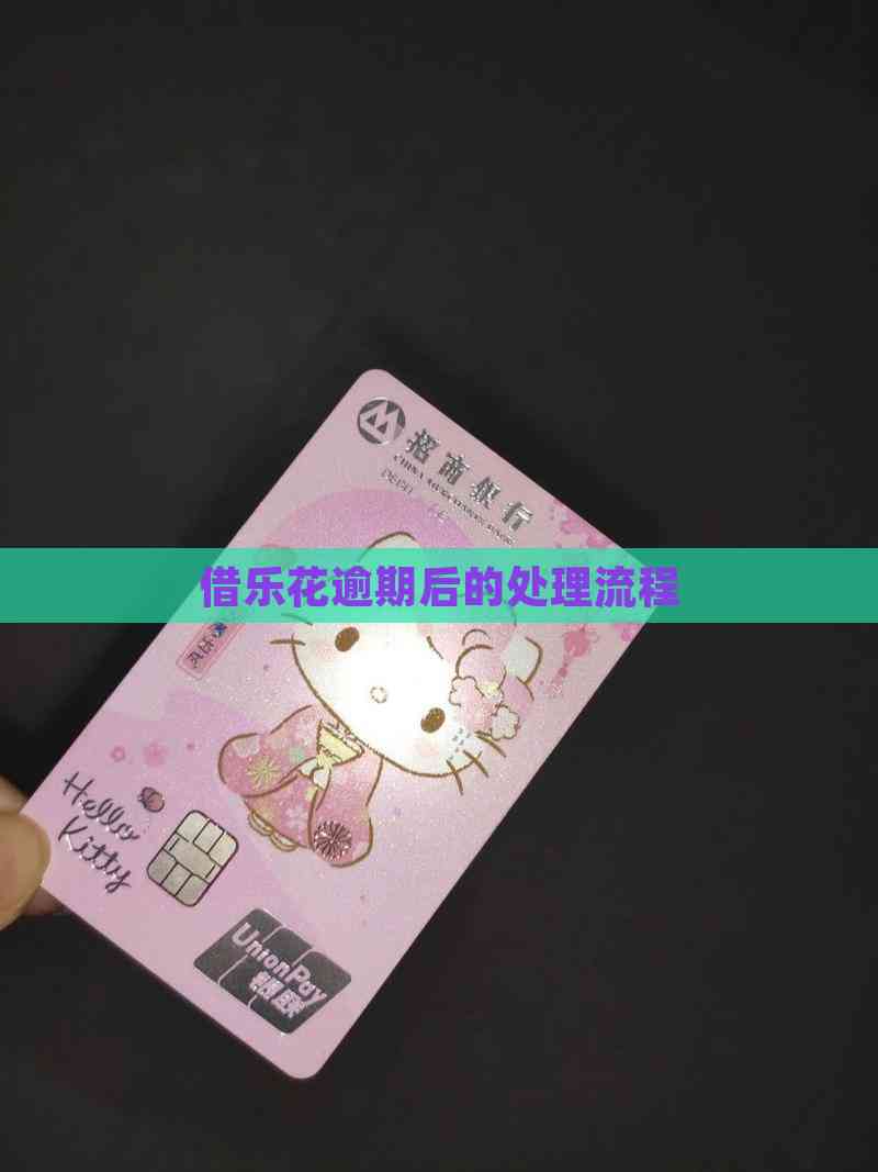 借乐花逾期后的处理流程(图7)