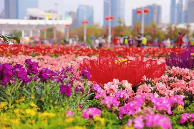 官宣！2025年迎春花市要来啦！还有广大市民想知道的开花进度(图4)