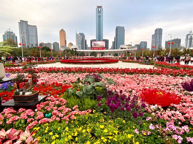 官宣！2025年迎春花市要来啦！还有广大市民想知道的开花进度(图3)