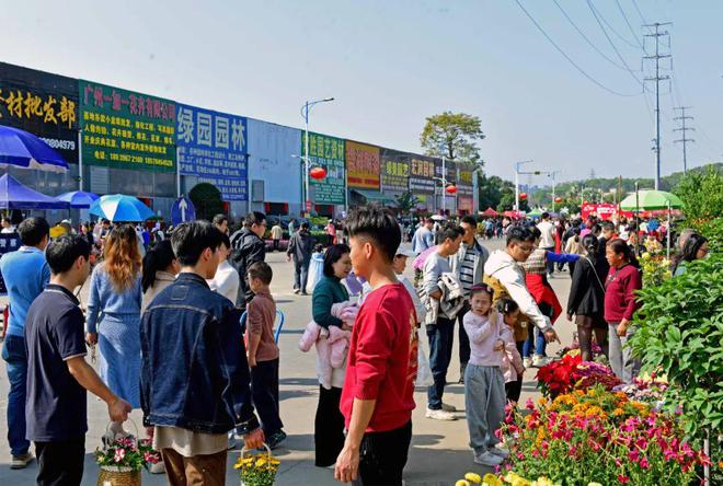 花都花市热闹来袭！(图6)