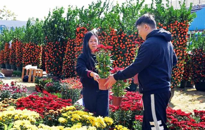花都花市热闹来袭！(图17)