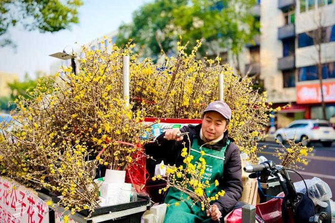 Pong香！从花田至花瓶一起来看蜡梅的芬芳之旅视界双流(图6)