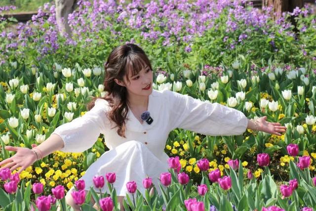 超实用游园路线！“小长假”快来崇明赴花朝盛宴(图2)