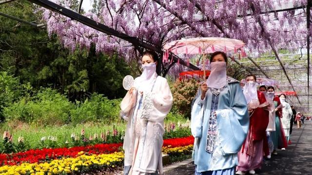 超实用游园路线！“小长假”快来崇明赴花朝盛宴(图5)