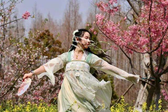超实用游园路线！“小长假”快来崇明赴花朝盛宴(图11)