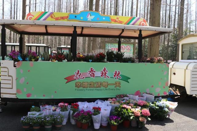 超实用游园路线！“小长假”快来崇明赴花朝盛宴(图16)