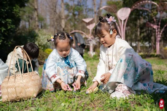 超实用游园路线！“小长假”快来崇明赴花朝盛宴(图23)