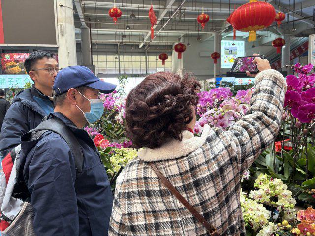 新春走基层｜昆明斗南花市：年宵花走俏年味浓(图4)