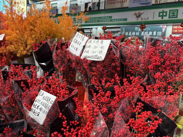 新春走基层｜昆明斗南花市：年宵花走俏年味浓(图9)