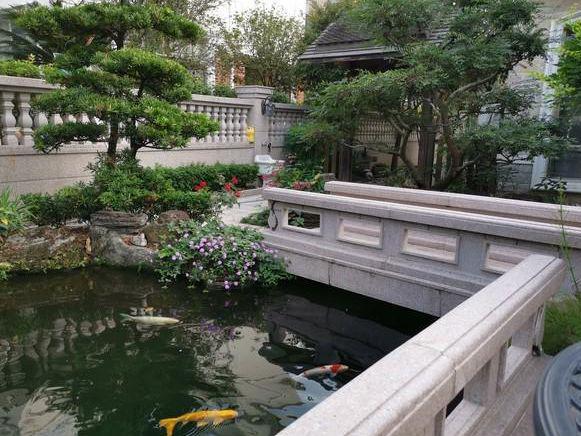 春季建房高峰期“门前有五冲子孙代代穷”五冲指的是什么？(图5)