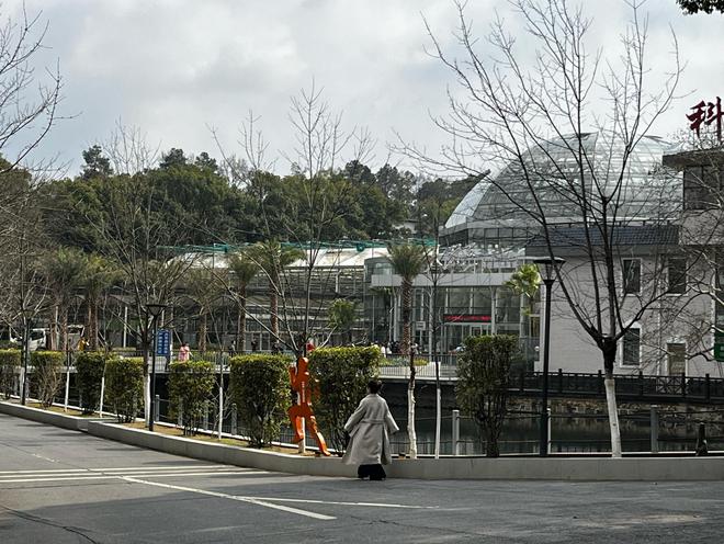最全花期指南来了！春天跟着这个时间表赏花不会错(图5)
