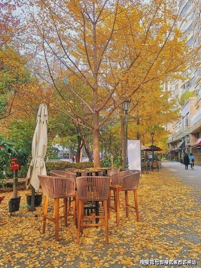 2025古北99售楼处首页网站-闵行古北99欢迎您-楼盘详情-户型最新价格(图15)