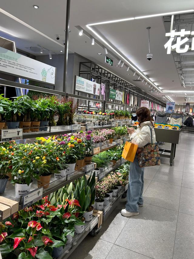 从“节日专属”到“日常悦己”——鲜花成为“卷”时代的精神解药(图2)