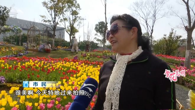 三色堇、雏菊、郁金香……一不小心误入昆明的“彩虹花园”(图2)