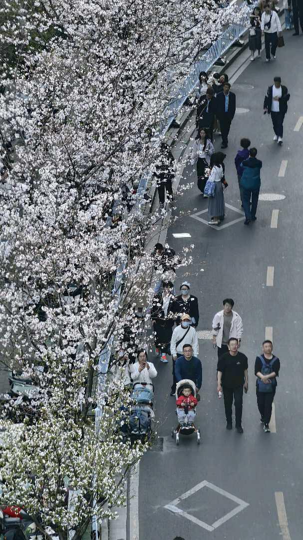 南京赏花指南：一场和春花的双向奔赴(图3)