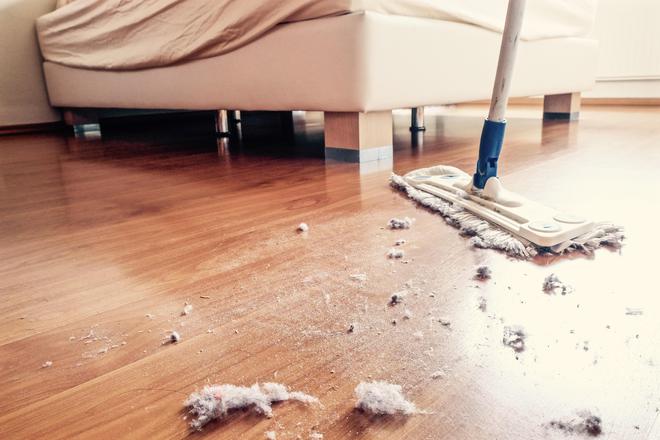 威廉希尔俗话说：“财不入脏屋”家里有这5种物品一定要尽早处理掉！(图5)