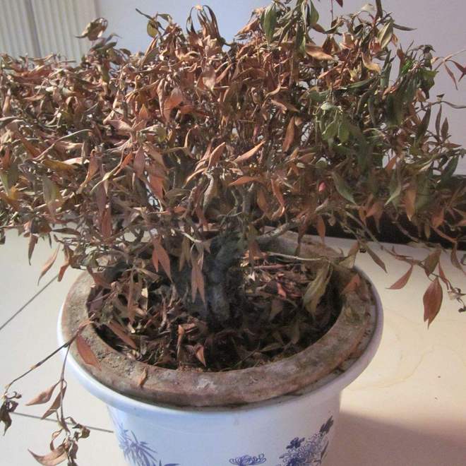 威廉希尔俗话说：“财不入脏屋”家里有这5种物品一定要尽早处理掉！(图4)