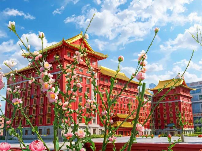 AI视角下的春日河北外国语学院：繁花簇拥的知识殿堂(图3)