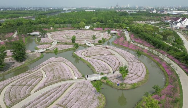 花开进度100%5月赏花指南！(图7)