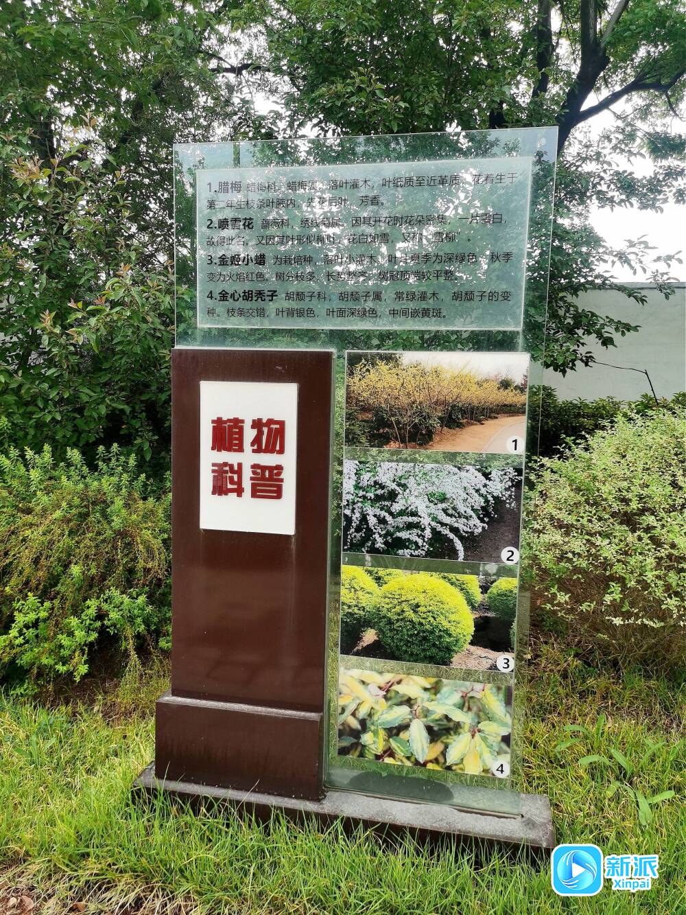 “潍”美游园“坊”间探幽海绵城市科普园：探索城市新“肤质”(图3)