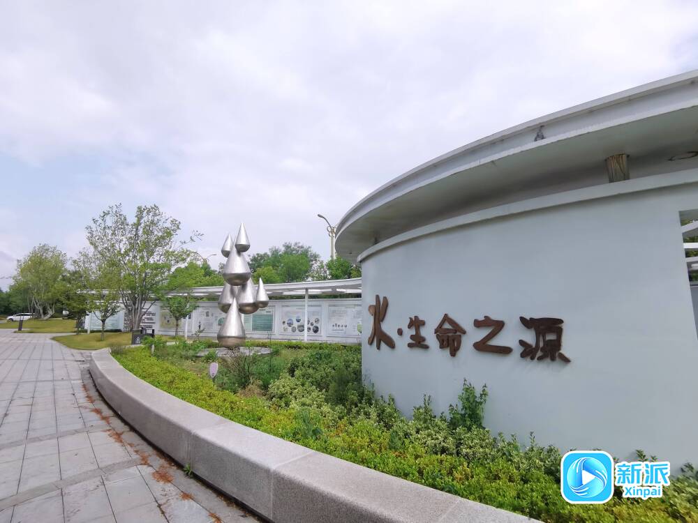 “潍”美游园“坊”间探幽海绵城市科普园：探索城市新“肤质”(图1)