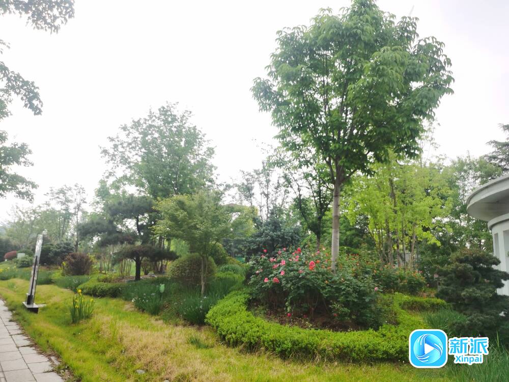 “潍”美游园“坊”间探幽海绵城市科普园：探索城市新“肤质”(图2)