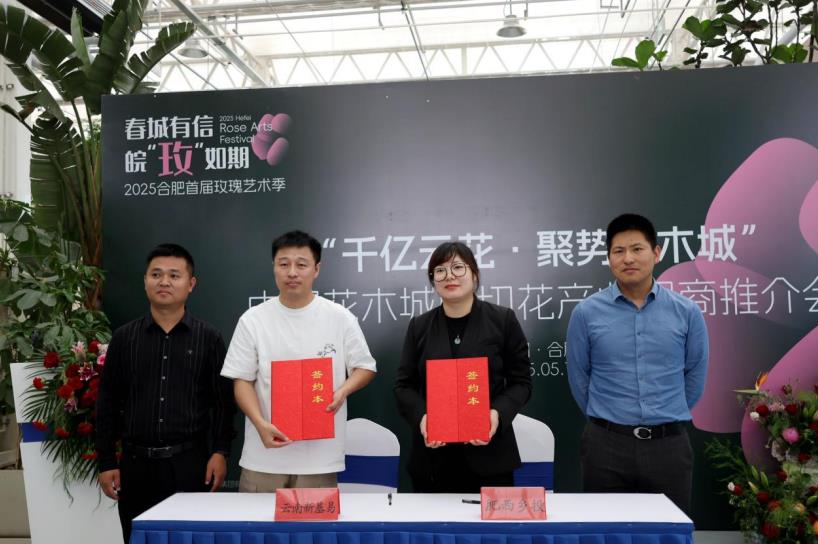 安徽肥西：雲南鮮花“直通”中部花木城威廉希尔(图2)