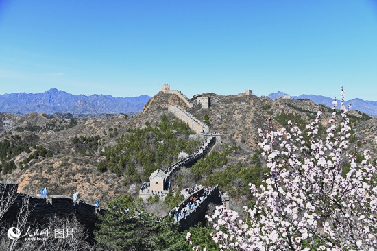 春天花“卉”开满目芬芳乐开怀(图4)