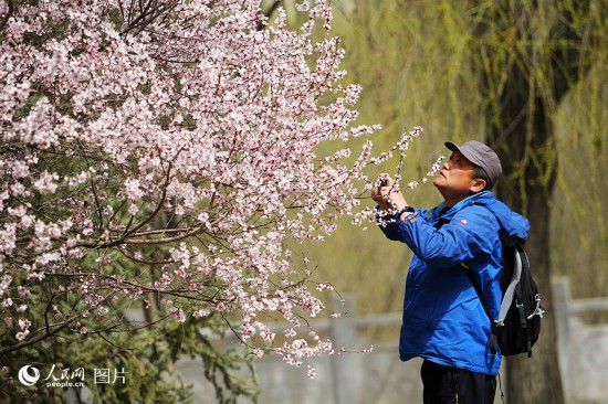 春天花“卉”开满目芬芳乐开怀(图8)