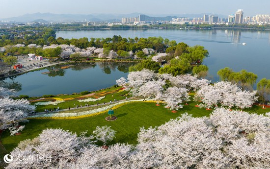 春天花“卉”开满目芬芳乐开怀(图10)