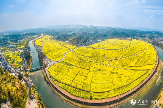 春天花“卉”开满目芬芳乐开怀(图15)