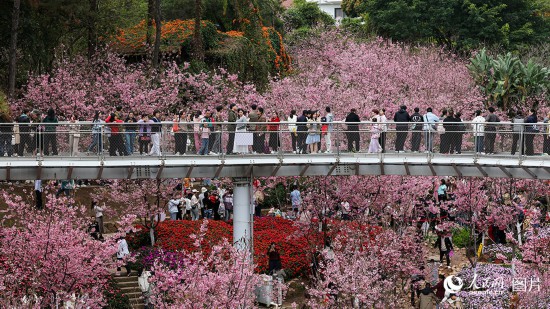 春天花“卉”开满目芬芳乐开怀(图14)