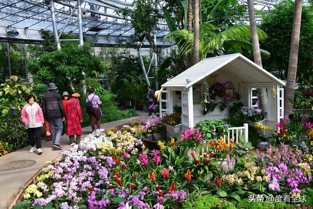 威廉希尔京城春日限定：国家植物园的花漾狂欢！(图3)