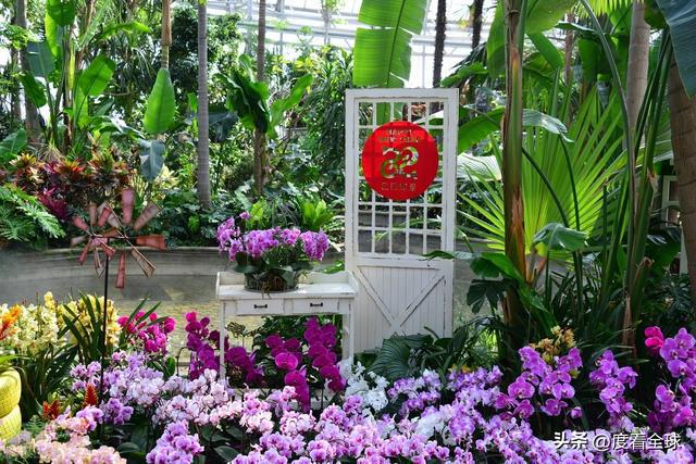 威廉希尔京城春日限定：国家植物园的花漾狂欢！(图2)