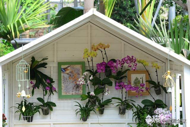 威廉希尔京城春日限定：国家植物园的花漾狂欢！(图4)