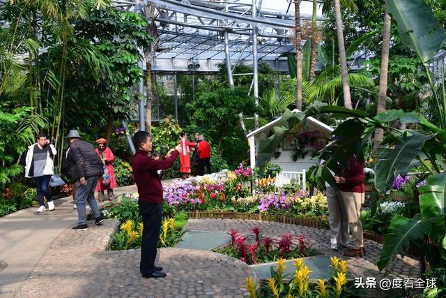 威廉希尔京城春日限定：国家植物园的花漾狂欢！(图5)