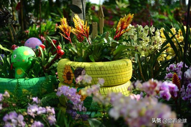 威廉希尔京城春日限定：国家植物园的花漾狂欢！(图7)