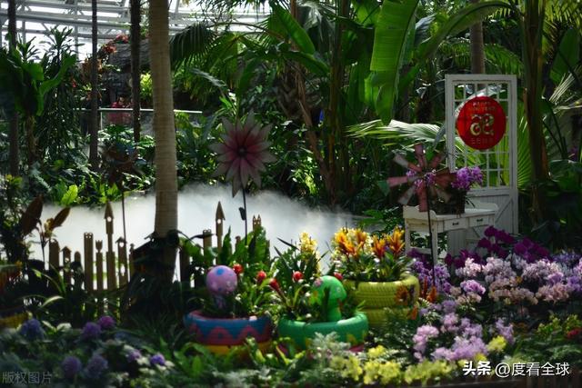 威廉希尔京城春日限定：国家植物园的花漾狂欢！(图8)